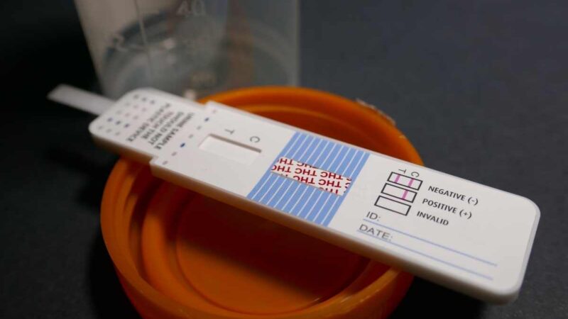 7-Benefits-of-Using-Drug-Testing-for-Employers