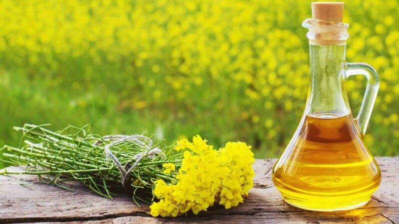 Benefits of Mustard Oil For Hair as well as the Side Effects Too-compressed